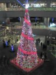 051217_173602-thumb.jpg
